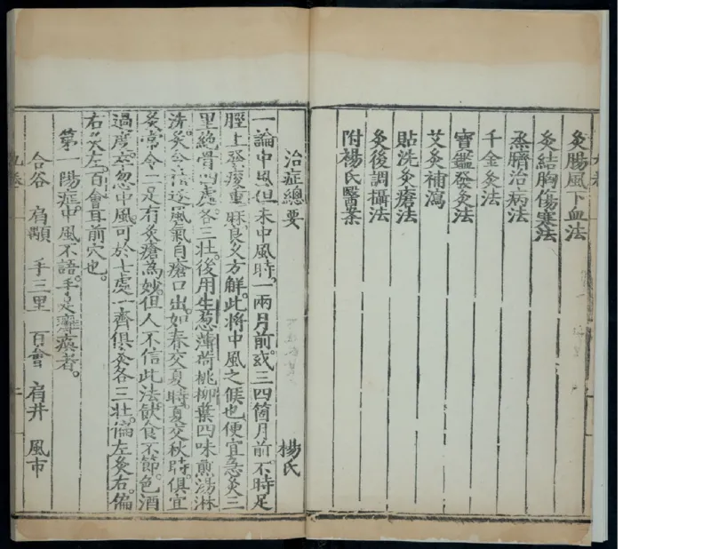 13_t涯_绝版古籍电子书合集（13大类）_医书类_针灸大成