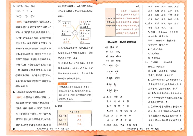 25秋三上语文考点梳理手册和答案_25秋小学语数英习题试卷_数学_人教版_人教版数学《王朝霞考点梳理时习卷》_三年语文上册《王朝霞考点梳理时习卷》25秋(1)