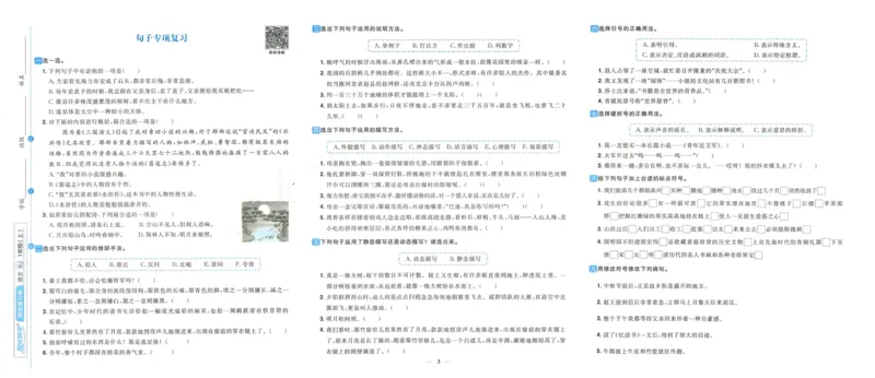 《阳光同学期末复习卷》（5上）_25秋小学语数英习题试卷_语文_语文阳光同学期末复习卷