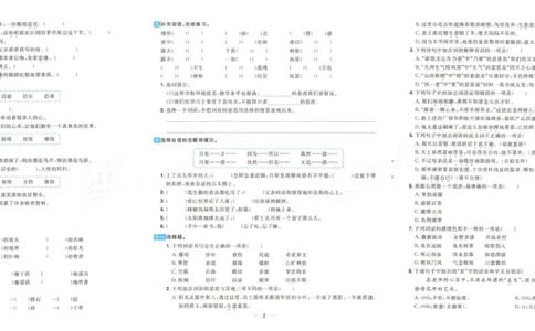 《阳光同学期末复习卷》（5上）_25秋小学语数英习题试卷_语文_语文阳光同学期末复习卷
