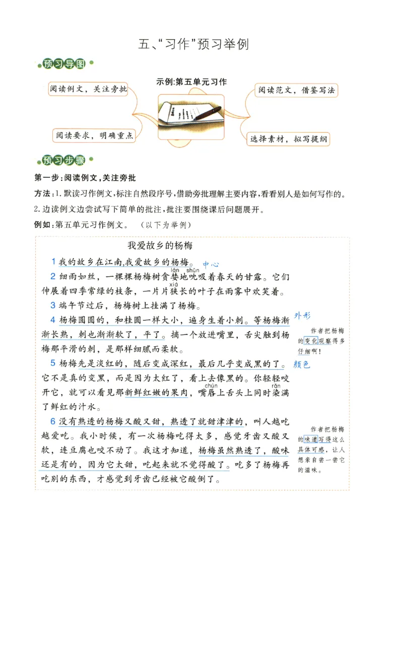 《涂重点》预习学习笔记-语文3年级上册（RJ）_三年级上下册资料_小学三年级学习资料-25年更新版_3-01、小学三年级语文上册_3-1-2、练习题、作业、试题、试卷_电子册类