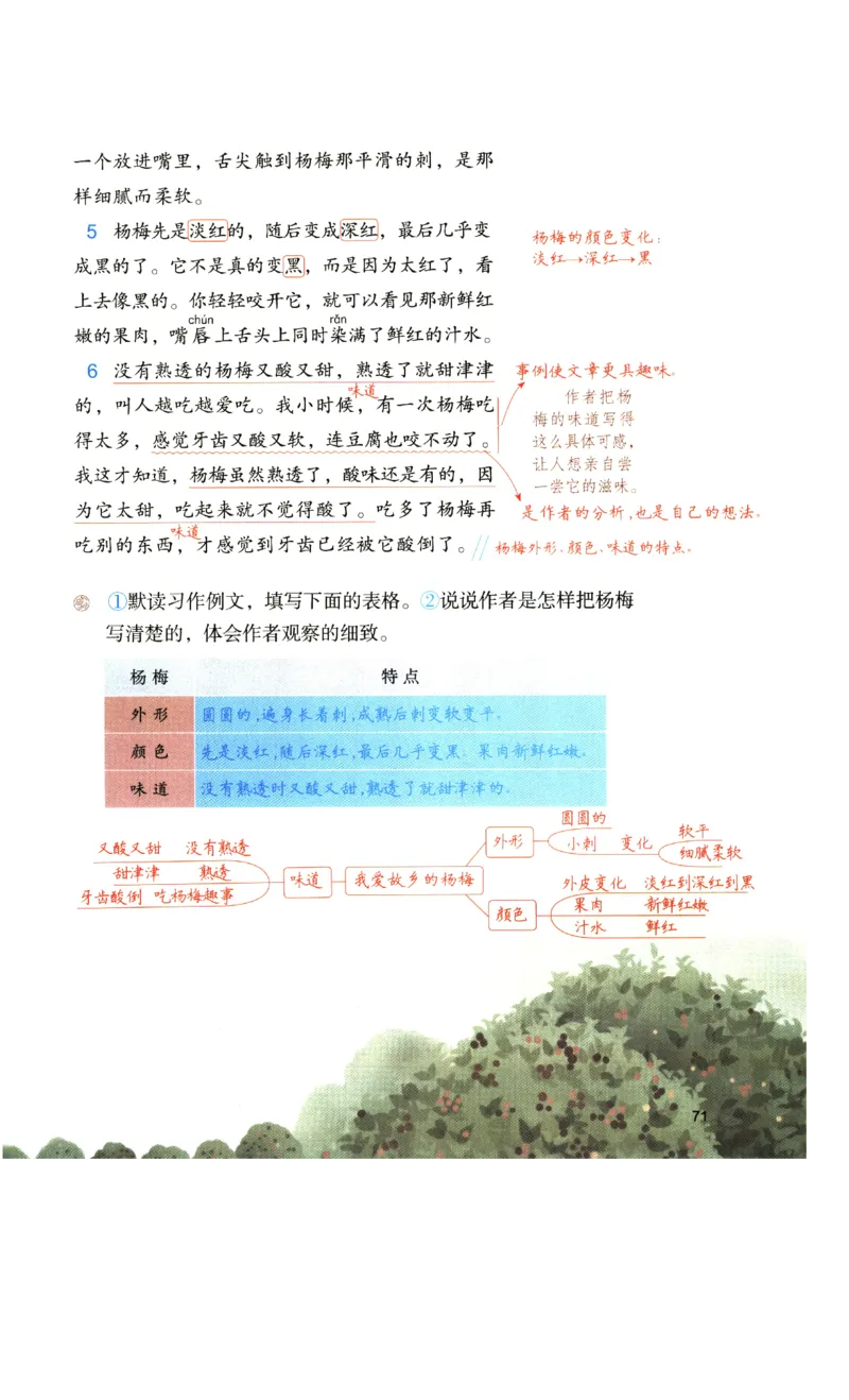 《涂重点》预习学习笔记-语文3年级上册（RJ）_三年级上下册资料_小学三年级学习资料-25年更新版_3-01、小学三年级语文上册_3-1-2、练习题、作业、试题、试卷_电子册类