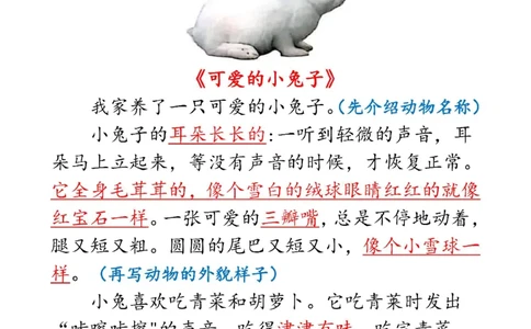 二上语文1-8单元看图写话范文梳理35篇（34页）_一到六小学晨读晚默晨诵晚读_24秋二年级上册各类资料(小纸条知识点默写单)