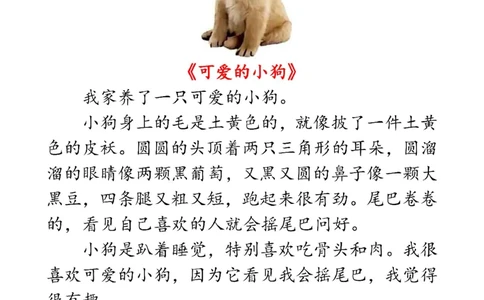 二上语文1-8单元看图写话范文梳理35篇（34页）_一到六小学晨读晚默晨诵晚读_24秋二年级上册各类资料(小纸条知识点默写单)