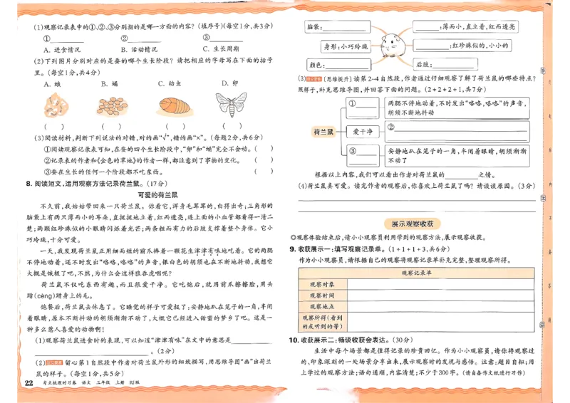 25秋三上语文考点梳理实习卷_25秋小学语数英习题试卷_数学_人教版_人教版数学《王朝霞考点梳理时习卷》_三年语文上册《王朝霞考点梳理时习卷》25秋(1)