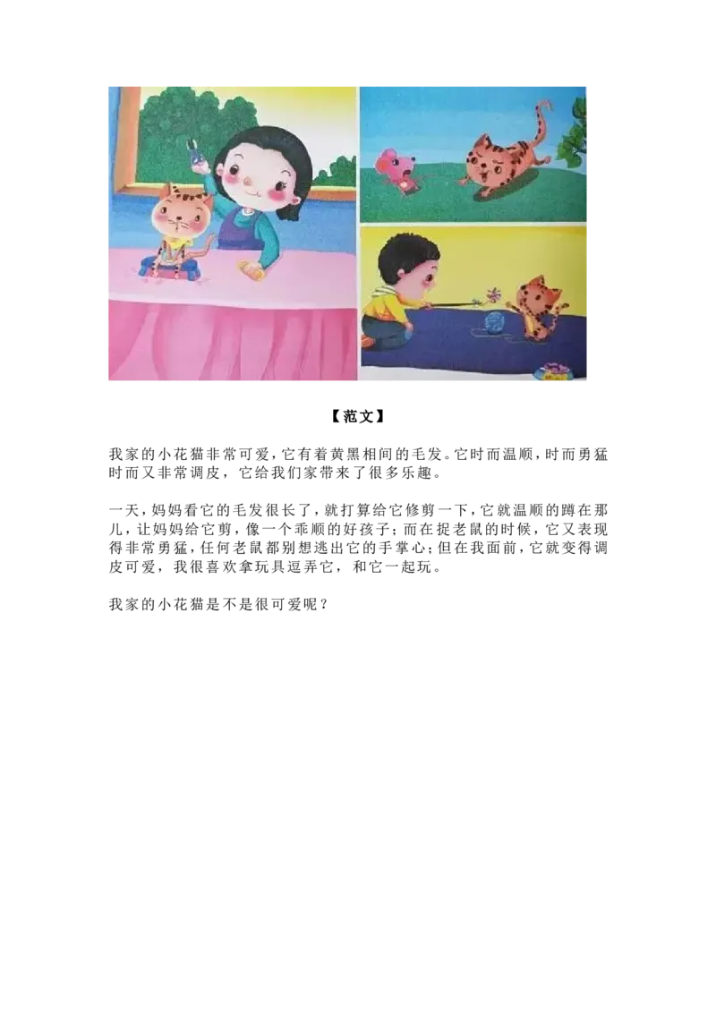 一二年级看图写话万能模板+步骤解析+范文_一年级上下册资料_小学一年级学习资料-25年更新版_1-01、小学一年级语文上册_01、知识汇总