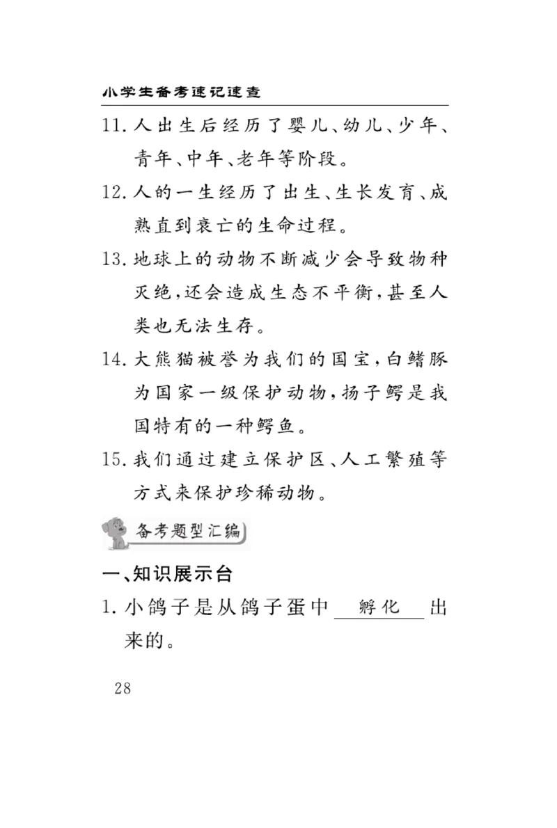 《速记速查》科学3年级上册（大象版）_三年级上下册资料_小学三年级学习资料-25年更新版_3-09、小学三年级科学上册_大象版