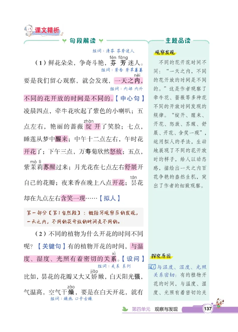 《点拨》语文3年级下册（RJ）_三年级上下册资料_小学三年级学习资料-25年更新版_3-02、小学三年级语文下册_3-2-2、练习题、作业、试题、试卷_电子册类