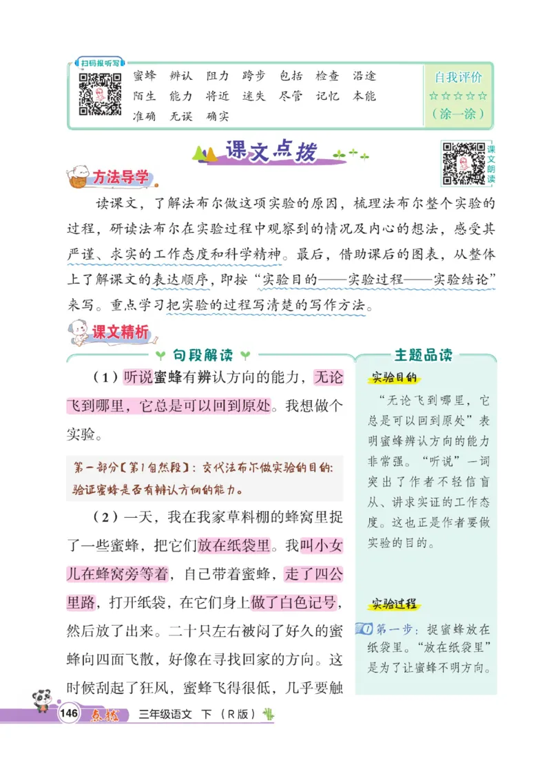 《点拨》语文3年级下册（RJ）_三年级上下册资料_小学三年级学习资料-25年更新版_3-02、小学三年级语文下册_3-2-2、练习题、作业、试题、试卷_电子册类