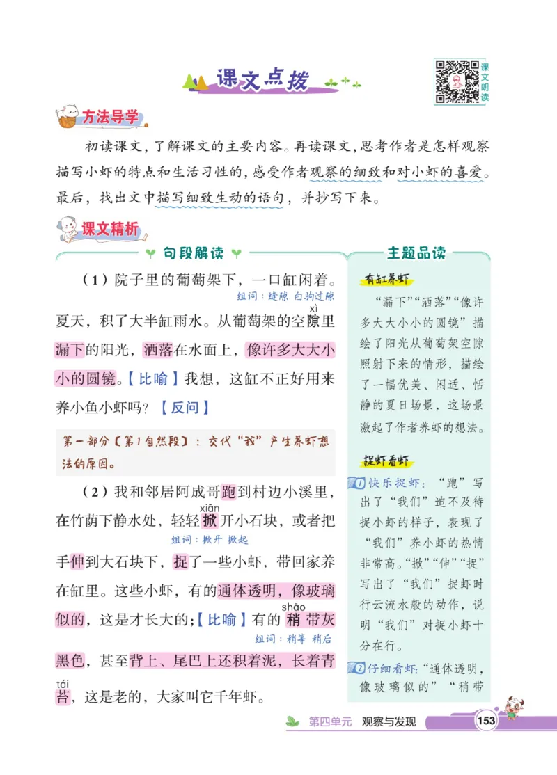 《点拨》语文3年级下册（RJ）_三年级上下册资料_小学三年级学习资料-25年更新版_3-02、小学三年级语文下册_3-2-2、练习题、作业、试题、试卷_电子册类