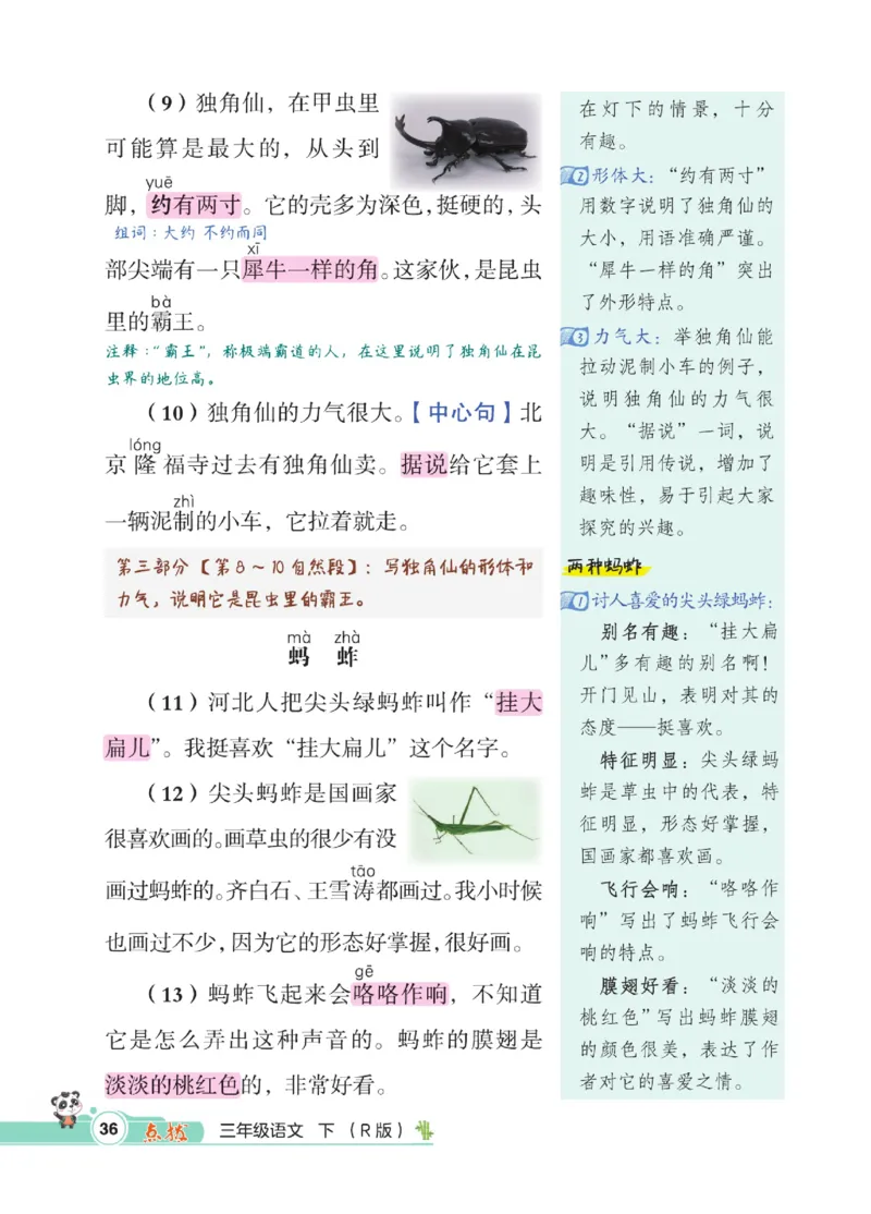 《点拨》语文3年级下册（RJ）_三年级上下册资料_小学三年级学习资料-25年更新版_3-02、小学三年级语文下册_3-2-2、练习题、作业、试题、试卷_电子册类