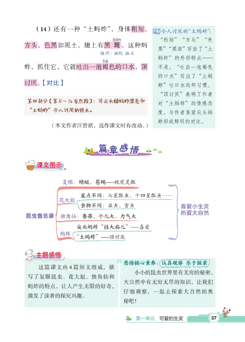 《点拨》语文3年级下册（RJ）_三年级上下册资料_小学三年级学习资料-25年更新版_3-02、小学三年级语文下册_3-2-2、练习题、作业、试题、试卷_电子册类