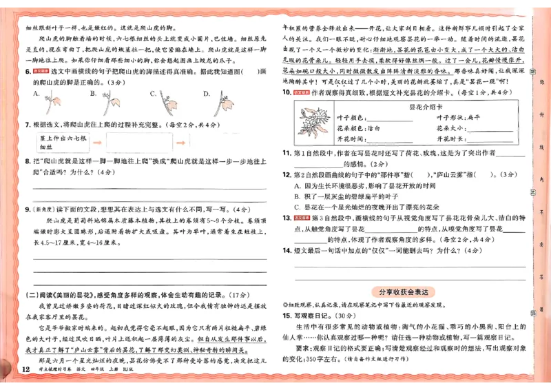 25秋四上语文人教版《王朝霞考点梳理时习卷》A3_25秋小学语数英习题试卷_数学_人教版_人教版数学《王朝霞考点梳理时习卷》_四年语文上册《王朝霞考点梳理时习卷》25秋