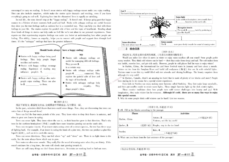 2026《中考英语45套》安徽_45套中招_2026《中考英语45套》安徽