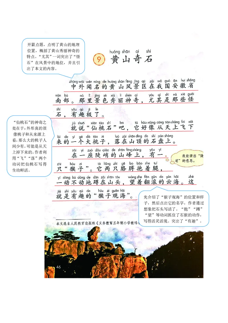 二年级上册语文部编版课堂笔记_二年级上下册资料_小学二年级学习资料-25年更新版_2-01、小学二年级语文上册_2-1-1、复习、知识点、归纳汇总