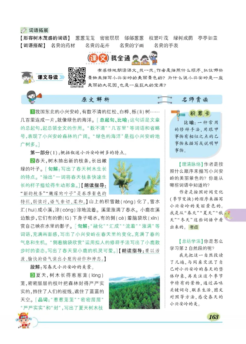 《状元大课堂》语文3年级上册（RJ）_三年级上下册资料_小学三年级学习资料-25年更新版_3-01、小学三年级语文上册_3-1-2、练习题、作业、试题、试卷_电子册类