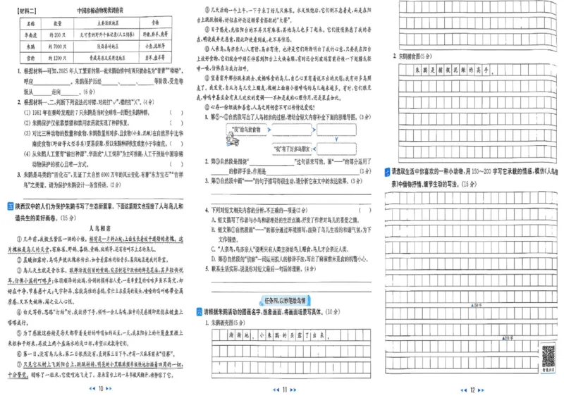 25秋《亮点给力新情境素养卷》语文5上_25秋小学语数英习题试卷_语文_25秋《亮点给力新情境素养卷》语文1-6上(1)