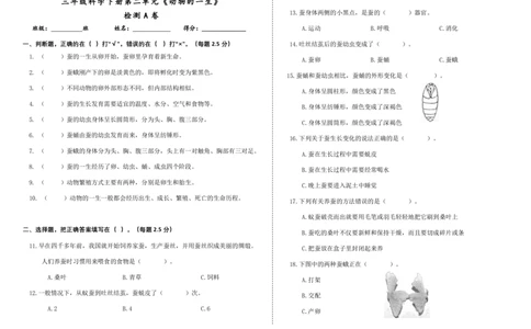 三下第二单元《动物的一生》检测A卷_三年级上下册资料_小学三年级学习资料-25年更新版_3-10、小学三年级科学下册_教科版_单元测试卷
