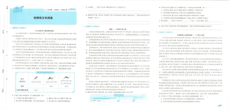 25秋《53归类复习》3年级上册数学北师大_25秋小学语数英习题试卷_数学_北师大版_53单元归类复习完整版数学北师25年上册
