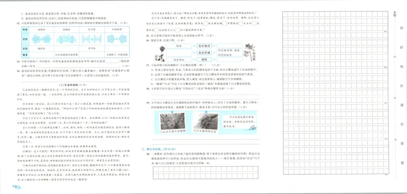 25秋《53归类复习》3年级上册数学北师大_25秋小学语数英习题试卷_数学_北师大版_53单元归类复习完整版数学北师25年上册