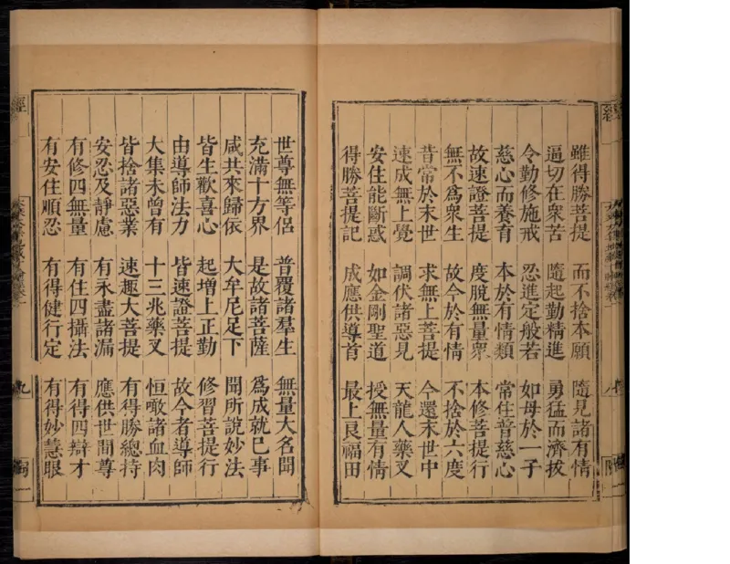 1_t涯_绝版古籍电子书合集（13大类）_佛教类_大乘大集地藏十輪經五卷玄奘譯