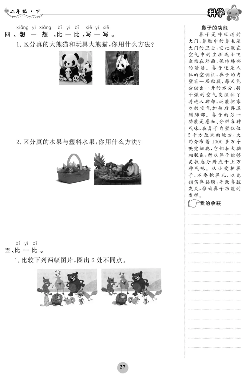 《科学与生活》科学2年级下册（教科版）_二年级上下册资料_小学二年级学习资料-25年更新版_2-10、小学二年级科学下册_教科版_电子册类