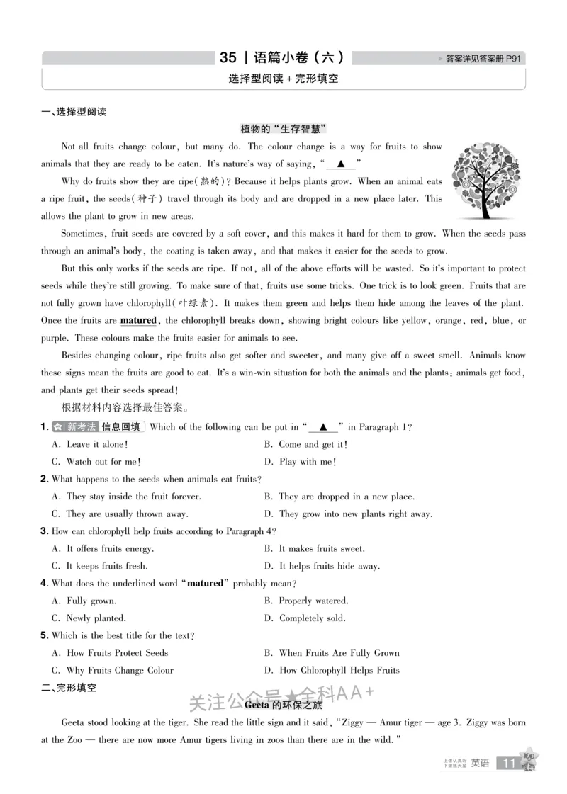 2026《中考英语45套》河南题型小卷_2026《中考》数学、英语、物理+化学安徽、河北、河南、山西、辽宁、湖北_2026《中考英语45套》全国地方版_2026《中考英语45套》河南