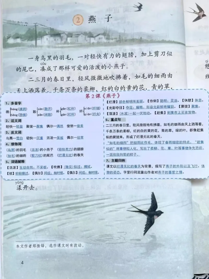 三年级下册语文彩色一课一贴_三年级上下册资料_三年级下册小红书同款资料_三下语文