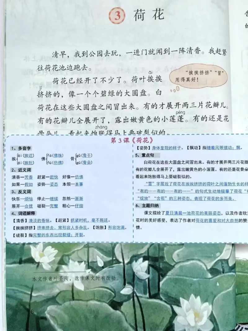 三年级下册语文彩色一课一贴_三年级上下册资料_三年级下册小红书同款资料_三下语文