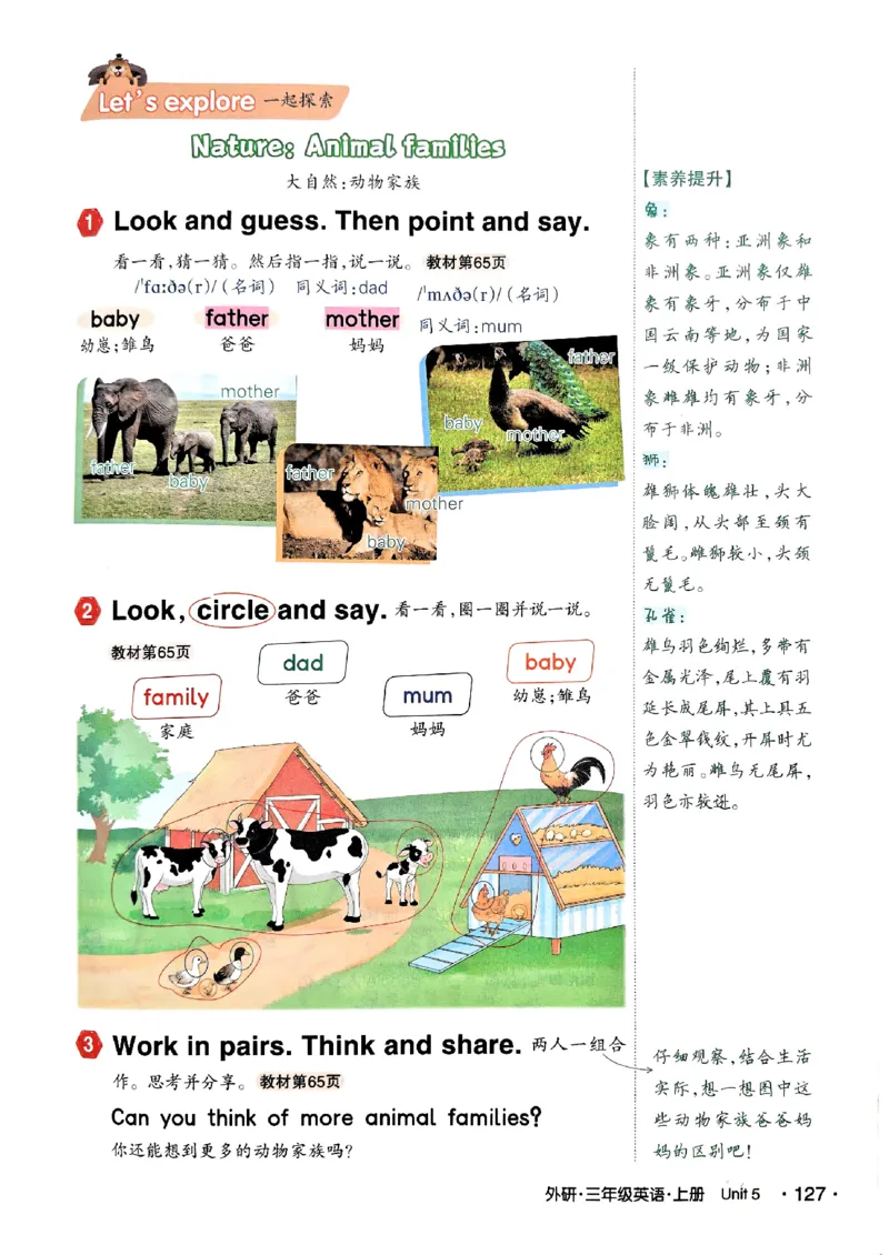 《状元笔记》_25秋小学语数英习题试卷_英语_外研版_25秋《状元笔记》英语外研版3起34_25秋《状元笔记》英语外研3起点3上