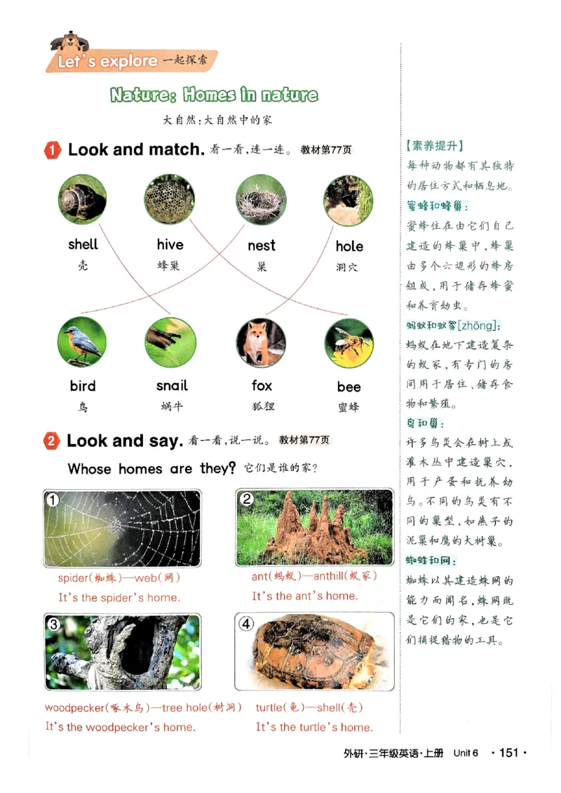 《状元笔记》_25秋小学语数英习题试卷_英语_外研版_25秋《状元笔记》英语外研版3起34_25秋《状元笔记》英语外研3起点3上