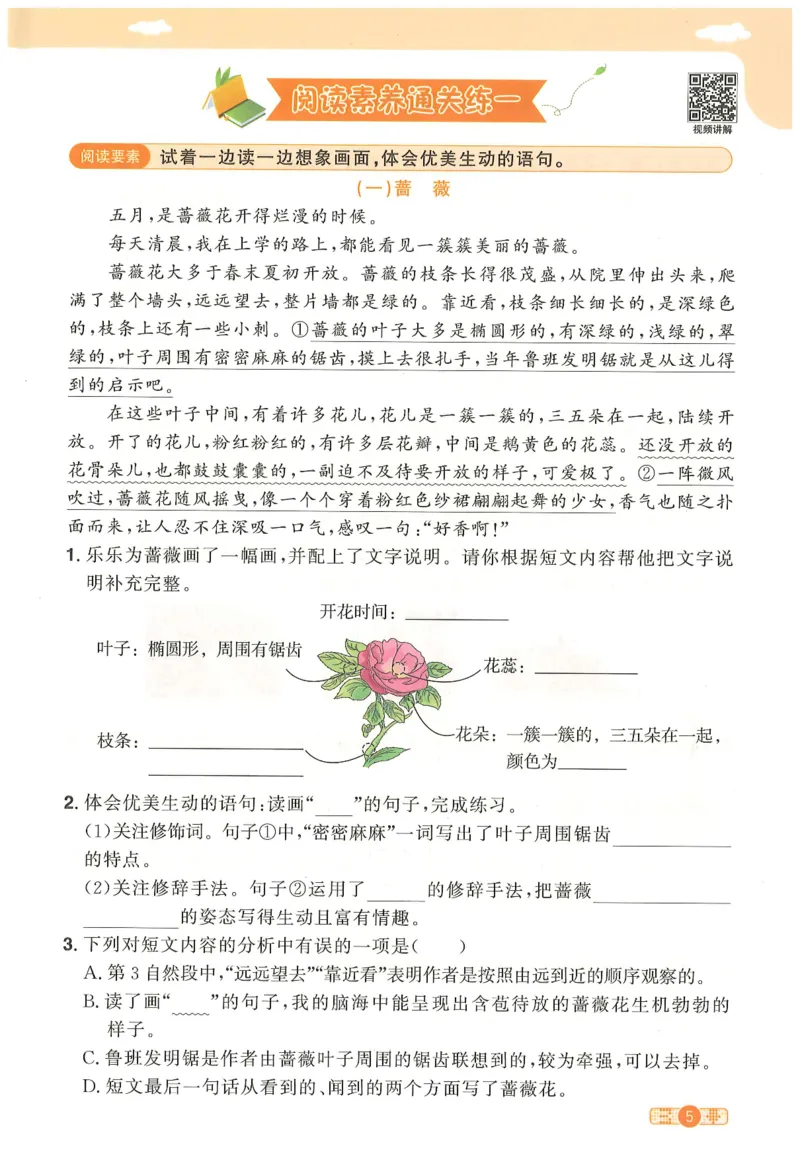 三年级语文下册25春《阳光同学课时提优训练》_三年级上下册资料_53黄冈多个品牌系列资料_语文