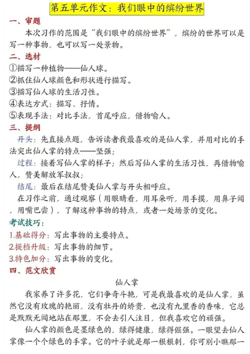 三上语文作文详解_三年级上下册资料_三年级下册小红书同款资料_三下语文