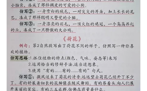 三下语文仿写句子_三年级上下册资料_三年级下册小红书同款资料_三下语文