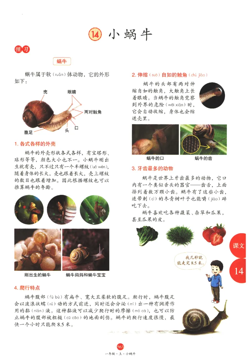 一年级上J2_一年级语文上册（统编版）_老课标资料_教学视频_第一套_010-绘本课堂PDF可下载打印