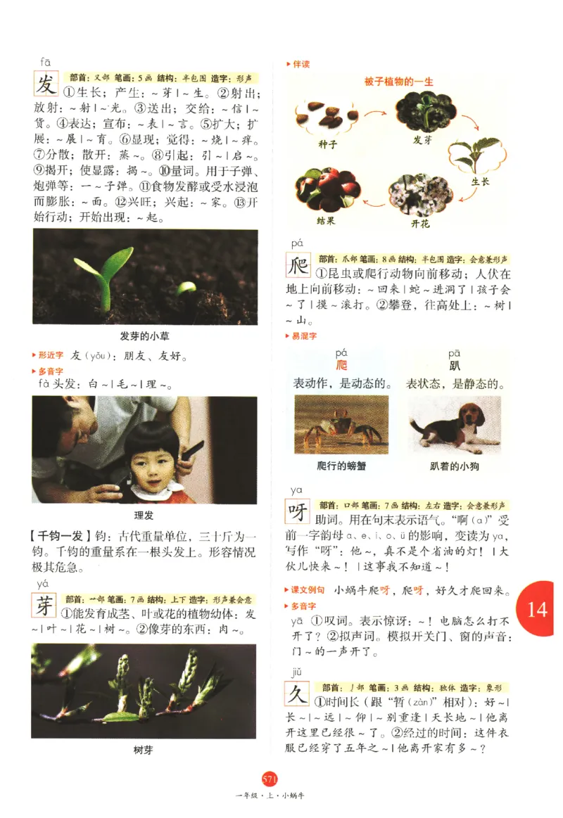 一年级上J2_一年级语文上册（统编版）_老课标资料_教学视频_第一套_010-绘本课堂PDF可下载打印