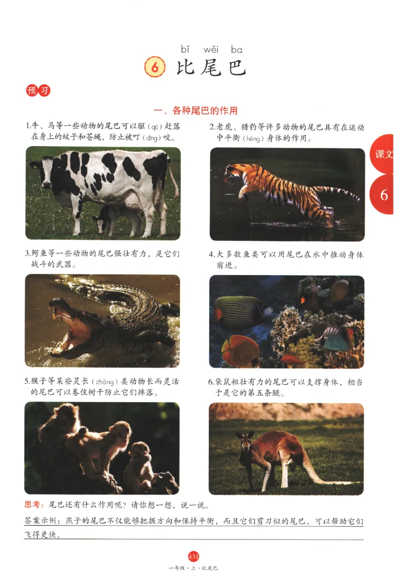 一年级上J2_一年级语文上册（统编版）_老课标资料_教学视频_第一套_010-绘本课堂PDF可下载打印