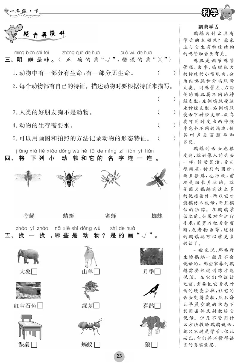 《科学与生活》科学1年级下册（教科版）_一年级上下册资料_小学一年级学习资料-25年更新版_1-10、小学一年级科学下册_教科版_电子册类