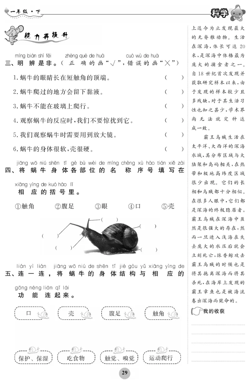《科学与生活》科学1年级下册（教科版）_一年级上下册资料_小学一年级学习资料-25年更新版_1-10、小学一年级科学下册_教科版_电子册类