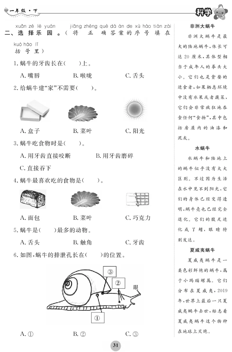 《科学与生活》科学1年级下册（教科版）_一年级上下册资料_小学一年级学习资料-25年更新版_1-10、小学一年级科学下册_教科版_电子册类