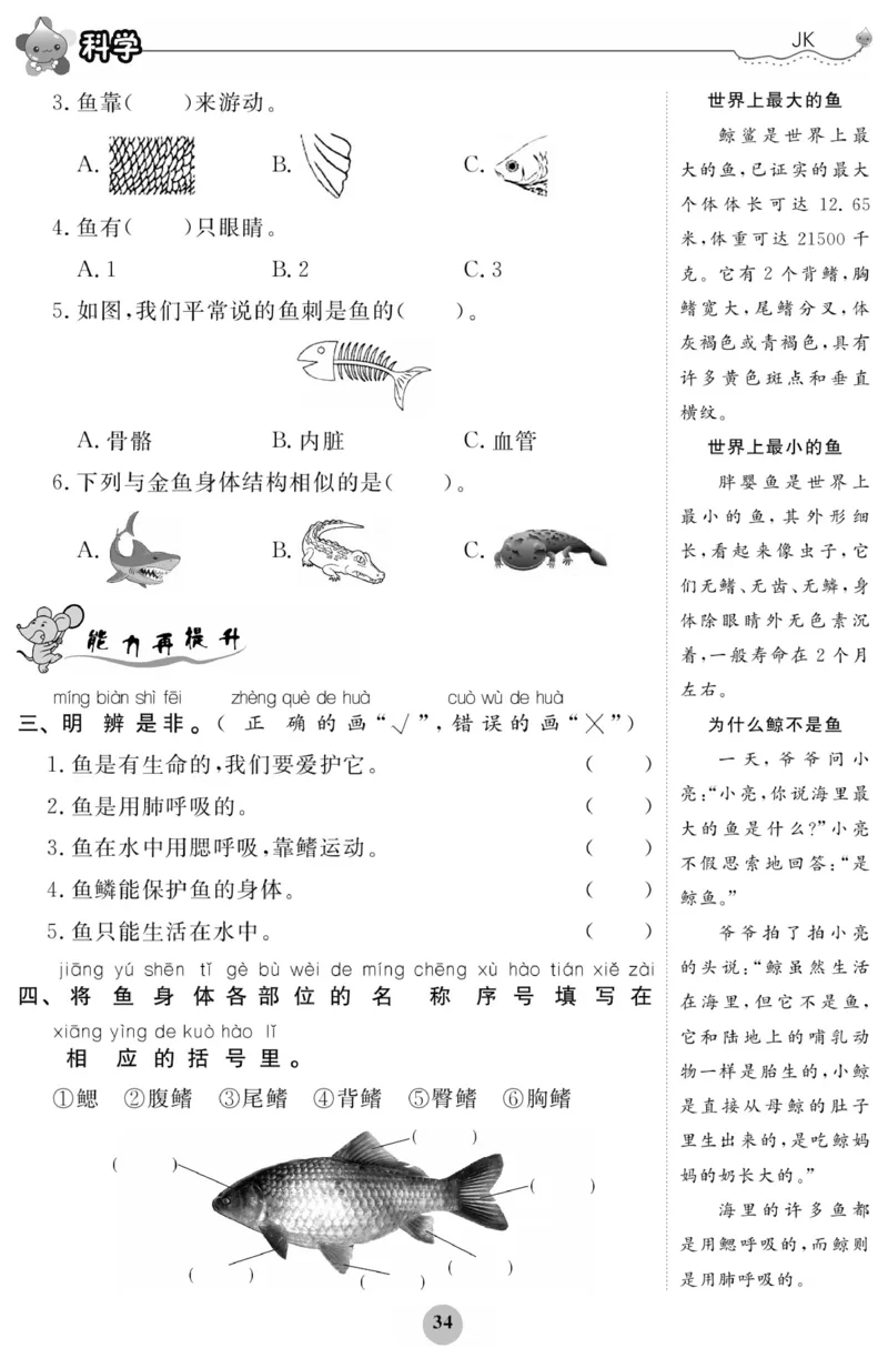 《科学与生活》科学1年级下册（教科版）_一年级上下册资料_小学一年级学习资料-25年更新版_1-10、小学一年级科学下册_教科版_电子册类
