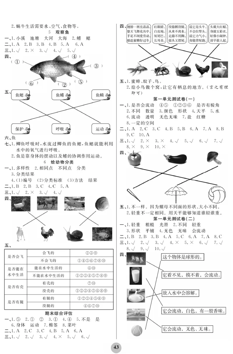 《科学与生活》科学1年级下册（教科版）_一年级上下册资料_小学一年级学习资料-25年更新版_1-10、小学一年级科学下册_教科版_电子册类