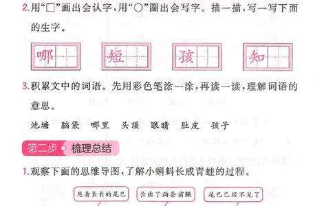 三步预习单二年级_25秋《一本预习笔记》语数外，人教，北师1-6上_25秋《一本预习笔记》语文1-6_二年级预习笔记语文