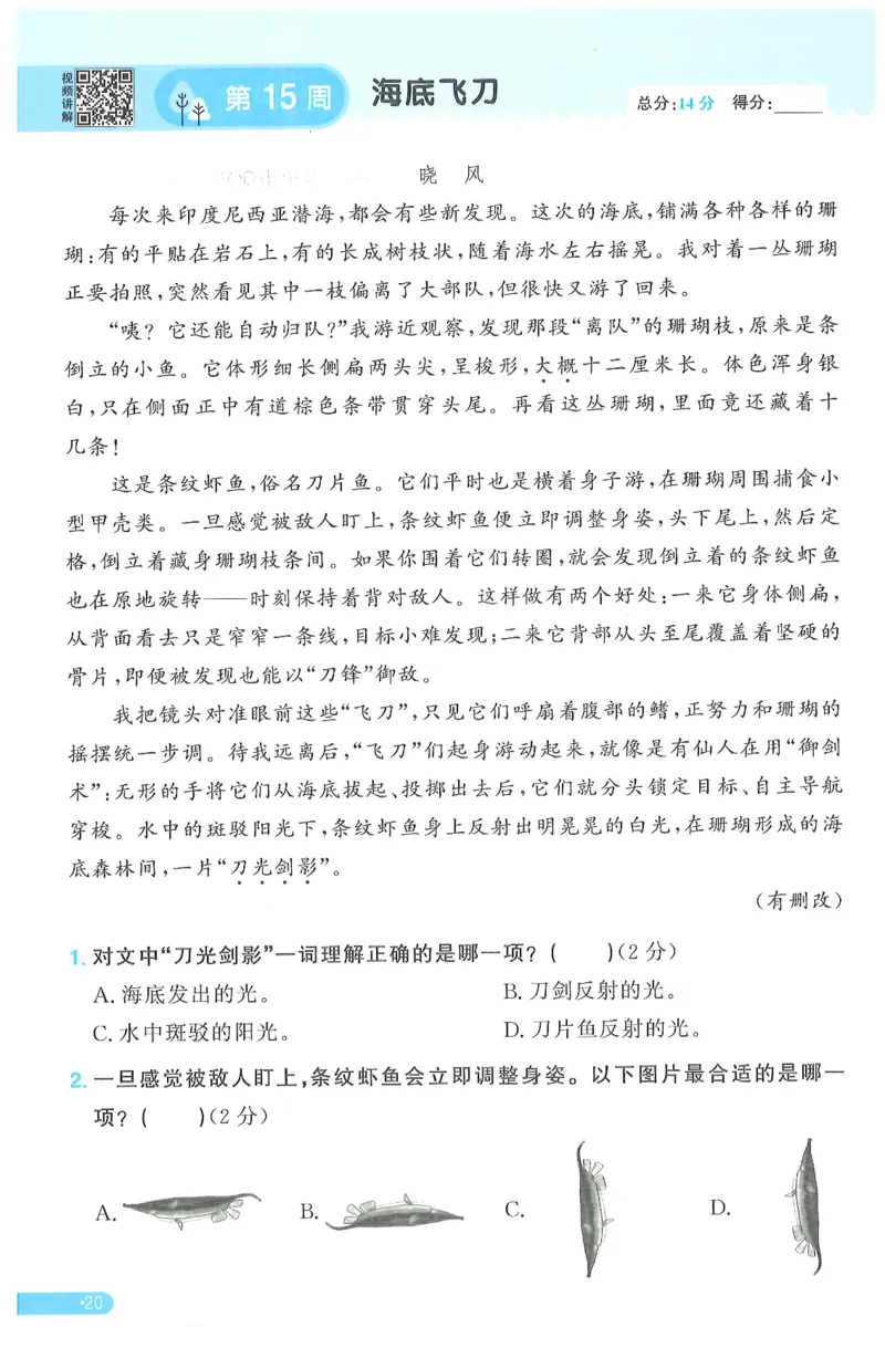 三年级语文下册25春《阳光同学课时提优训练》周周提优_三年级上下册资料_53黄冈多个品牌系列资料_语文