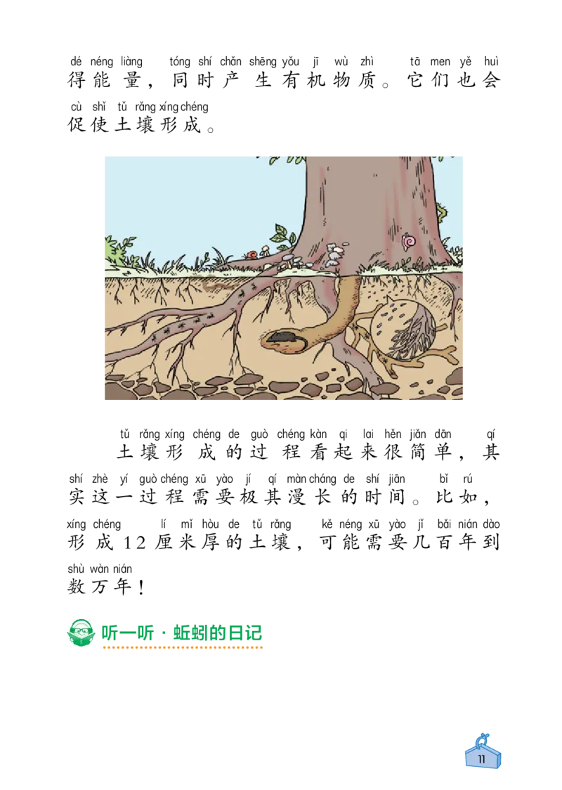 《知识与能力训练&middot;科学》22秋科学2年级上册（教科版）_二年级上下册资料_小学二年级学习资料-25年更新版_2-09、小学二年级科学上册_教科版_电子册类