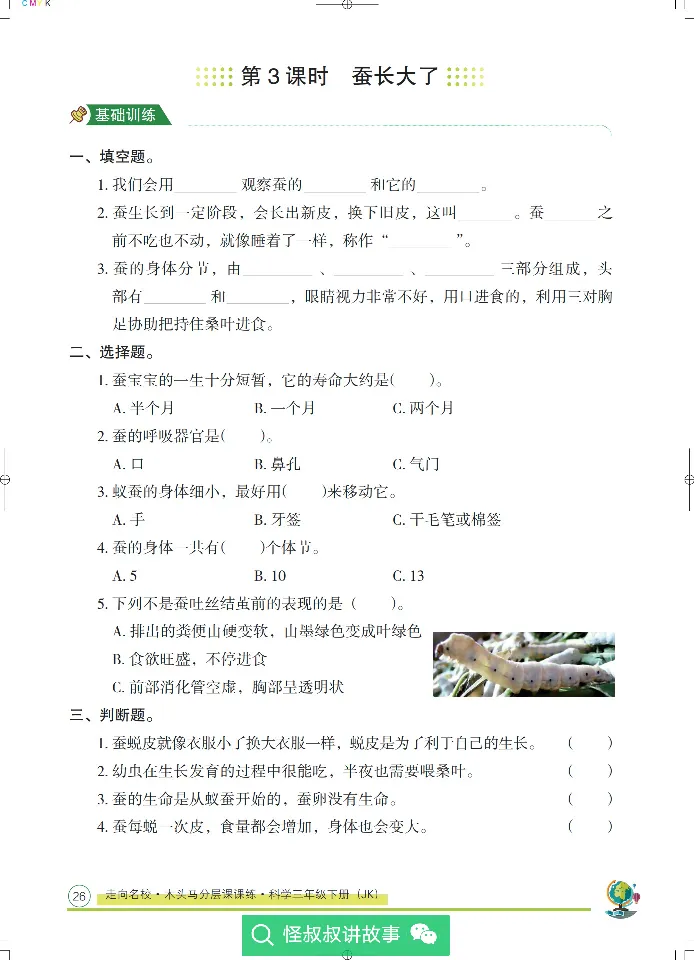 《木头马分层课课练》22科学3年级下册（教科版）_三年级上下册资料_小学三年级学习资料-25年更新版_3-10、小学三年级科学下册_教科版_电子册类
