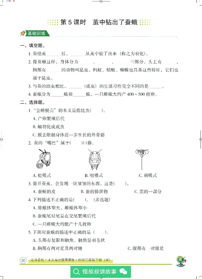 《木头马分层课课练》22科学3年级下册（教科版）_三年级上下册资料_小学三年级学习资料-25年更新版_3-10、小学三年级科学下册_教科版_电子册类