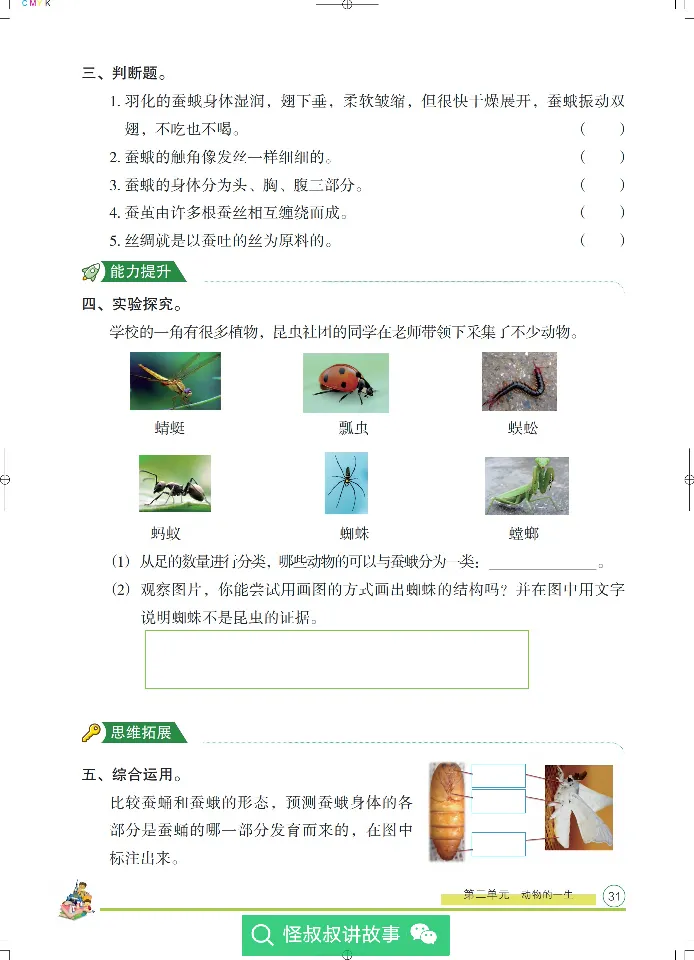 《木头马分层课课练》22科学3年级下册（教科版）_三年级上下册资料_小学三年级学习资料-25年更新版_3-10、小学三年级科学下册_教科版_电子册类