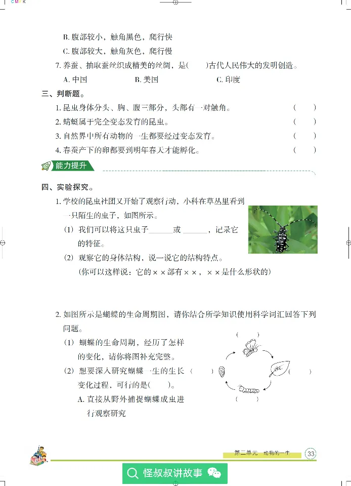 《木头马分层课课练》22科学3年级下册（教科版）_三年级上下册资料_小学三年级学习资料-25年更新版_3-10、小学三年级科学下册_教科版_电子册类