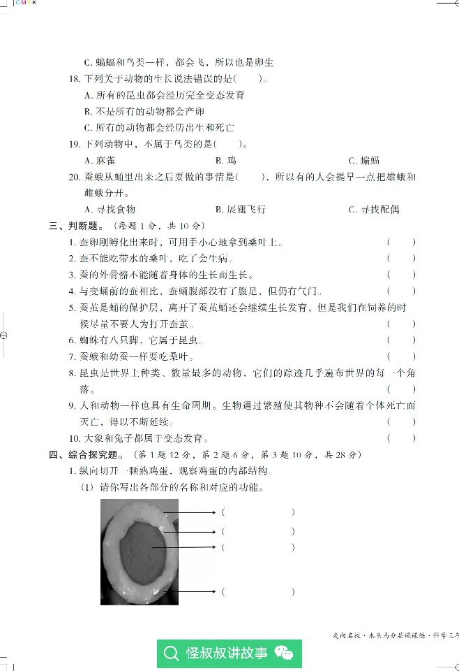 《木头马分层课课练》22科学3年级下册（教科版）_三年级上下册资料_小学三年级学习资料-25年更新版_3-10、小学三年级科学下册_教科版_电子册类